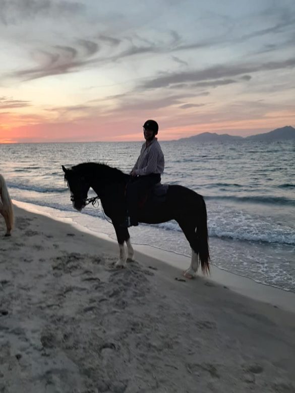 Pferd im Sonnenuntergang in Marmari